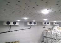 Witte Colorbond-Gang in Coldroom 1.2mm Staal Koele Zaal Opslag