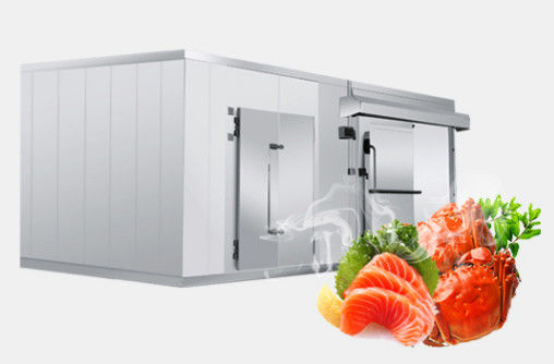 42KG/M3 van de zeevruchtenkoude en Diepvriezer Zalen 1.0mm 1.5mm Koude Bergruimte van het Staalfruit
