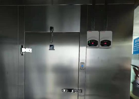 Aangepaste de Diepvriezer Koude Zaal van 220V 380V
