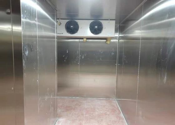 Aangepaste de Diepvriezer Koude Zaal van 220V 380V
