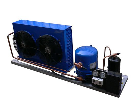 Condenserend de Eenheidsr404a Koelmiddel van 1Ph 50Hz 60Hz Frankrijk Maneurop