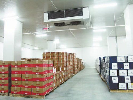 Rechte hoekss304 Gang in Coldroom 200mm Comité Industriële Diepvriezerzaal