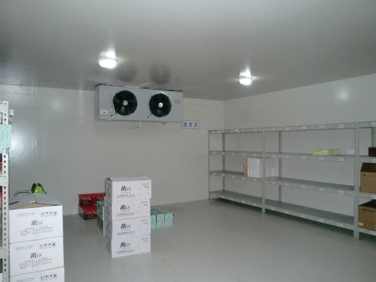 Rechte hoekss304 Gang in Coldroom 200mm Comité Industriële Diepvriezerzaal