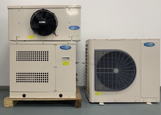 de Diepvriezerzaal van 220V 50Hz Condenserende Eenheid