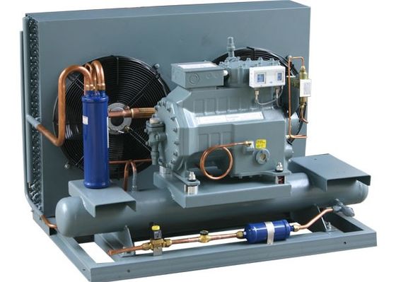 Emerson DWM Copeland 5 HP die Eenheid van de Eenheids de Lucht Gekoelde Koeling condenseren